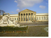 Wertvolles Sammlungsmaterial befindet sich in allen Naturkundemuseen Deutschlands, so auch am Staatlichen Museum für Naturkunde in Stuttgart. Foto Axel Kwet.