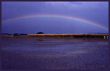 Federsee. Foto: Axel Kwet